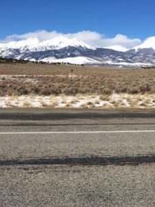 Homesteading With The Right Partner: Dogs Image